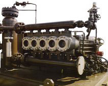 Ӣ��ԭװ����ҳ��������ע���